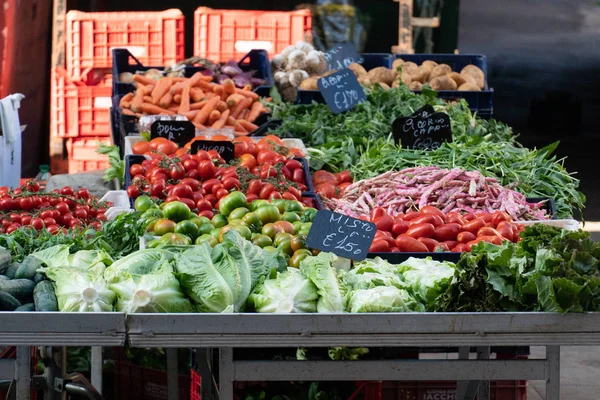 农贸市场摊位上的新鲜蔬菜 — 图库照片