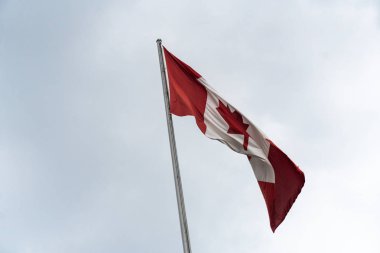 Bayrağı Kanada (veya Fransızca Le drapeau du Kanada) bulutlu gökyüzü karşı çırpınan
