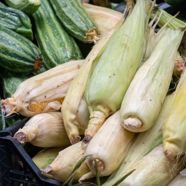 Corncobs, cob Mısır veya mısır koçanı üzerinde olarak da bilinir
