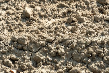 Arazi çorak ve kuraklık