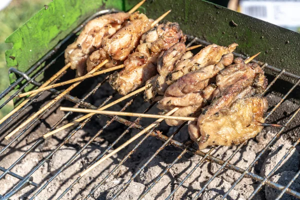 Matlagning Utomhus Kött Grillgaller — Stockfoto