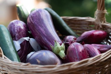 Sebze dolu hasır sepet: patlıcan, kabak, soğan ve sarımsak
