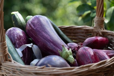 Sebze dolu hasır sepet: patlıcan, kabak, soğan ve sarımsak