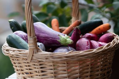 Hasır sepet sebze dolu: patlıcan, havuç, kabak ve arpacık. Seçici odaklama