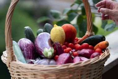 Hasır sepet taze ve olgun çiftlik sebze dolu: patlıcan, kabak, havuç, domates, limon ve arpacık