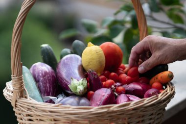 Hasır sepet taze ve olgun çiftlik sebze dolu: patlıcan, kabak, havuç, domates, limon ve arpacık