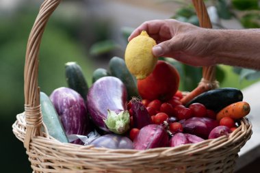 Hasır sepet taze ve olgun çiftlik sebze dolu: patlıcan, kabak, havuç, domates, limon ve arpacık