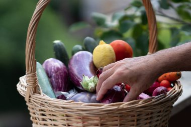 Hasır sepet taze ve olgun çiftlik sebze dolu: patlıcan, kabak, havuç, domates, limon ve arpacık