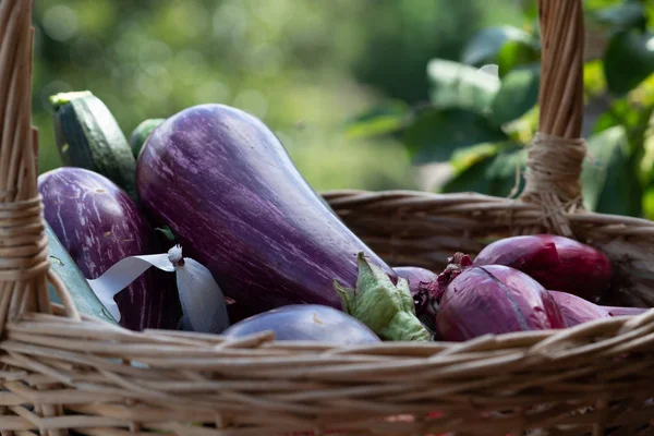 Sebze dolu hasır sepet: patlıcan, kabak, soğan ve sarımsak