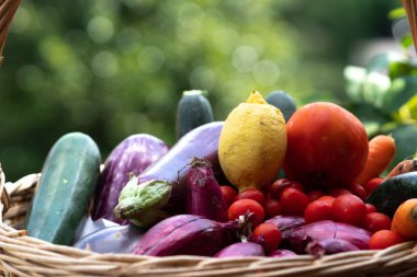 Hasır sepet taze ve olgun çiftlik sebze dolu: patlıcan, kabak, havuç, domates, limon ve arpacık
