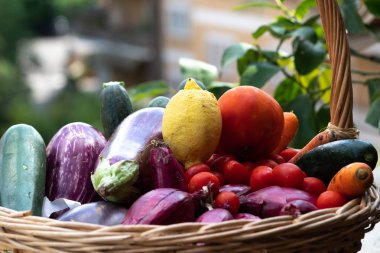 Hasır sepet taze ve olgun çiftlik sebze dolu: patlıcan, kabak, havuç, domates, limon ve arpacık