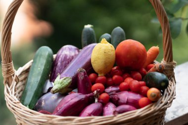 Hasır sepet taze ve olgun çiftlik sebze dolu: patlıcan, kabak, havuç, domates, limon ve arpacık