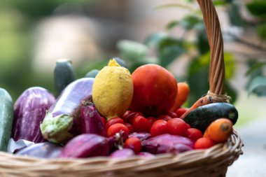 Hasır sepet taze ve olgun çiftlik sebze dolu: patlıcan, kabak, havuç, domates, limon ve arpacık