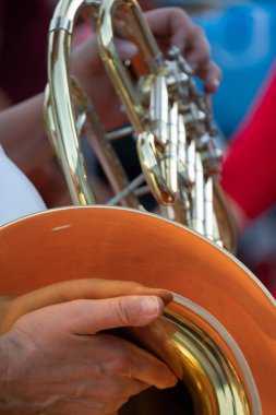 Bir korna çalar kırpılmış görüntü