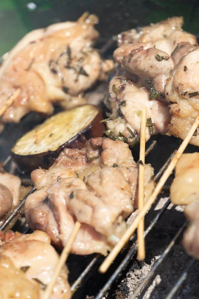 Matlagning Utomhus Köttet Grill — Stockfoto