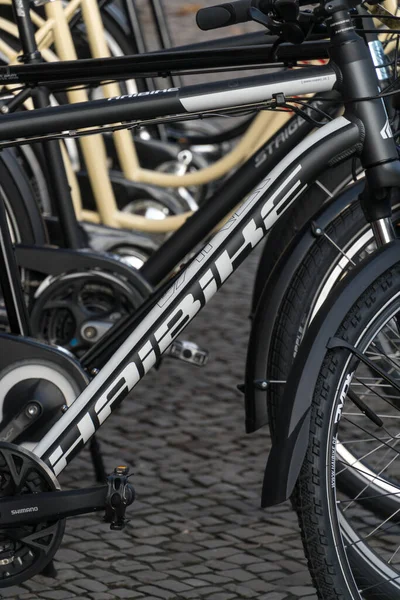 Berlin Tyskland Januari 2020 Haibike Elcykel — Stockfoto