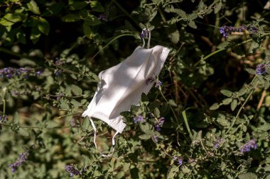 Ağaçta asılı duran tıbbi maske kullanılmış. Koronavirüs salgını sırasında çevre kirliliği