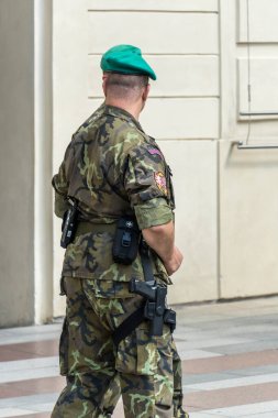 Prag, Çek Cumhuriyeti - 25 Temmuz 2020: Prag kalesi ve başkanlık sarayı önünde standart üniformalı bir kale muhafızı asker
