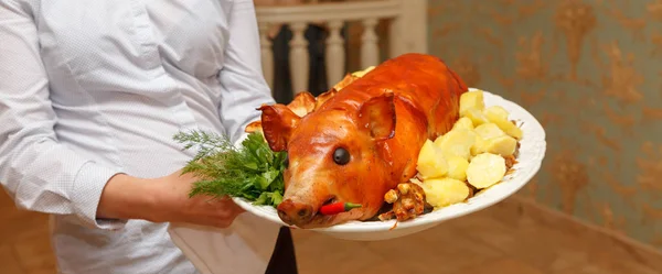 Garçom segura um porco grelhado em um prato branco com batatas cozidas, salsa fresca, endro e pimentão quente vermelho — Fotografia de Stock