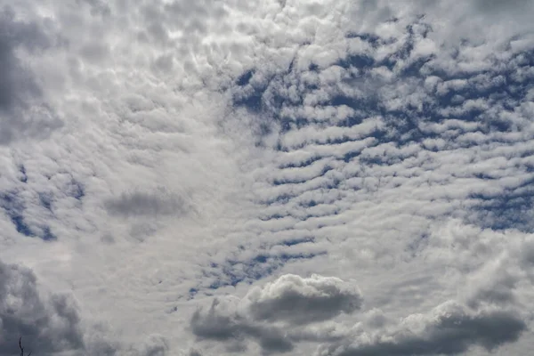 Cirrus Cumulus Chmury Nad Błękitnym Niebem — Zdjęcie stockowe