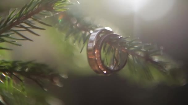 Anillos de boda en rama verde en nieve, enfoque selectivo. Movimiento lento — Vídeos de Stock