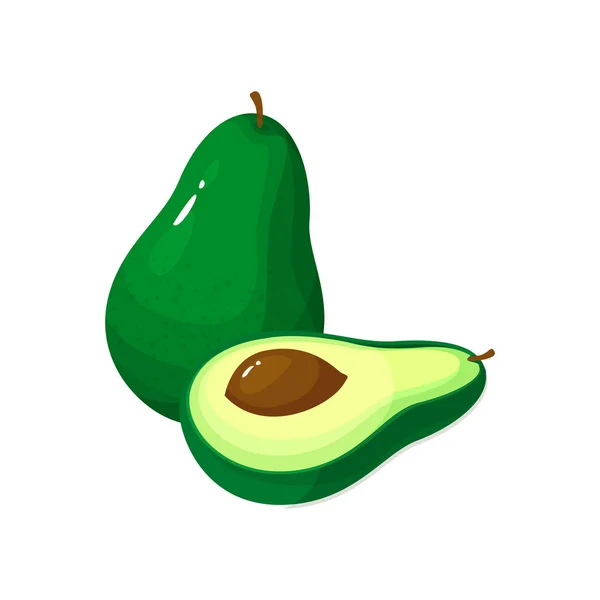 Grüne frische Avocado isoliert auf weißem Hintergrund — Stockvektor