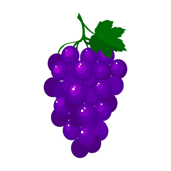 Dibujos animados uvas frescas aisladas sobre fondo blanco — Vector de stock