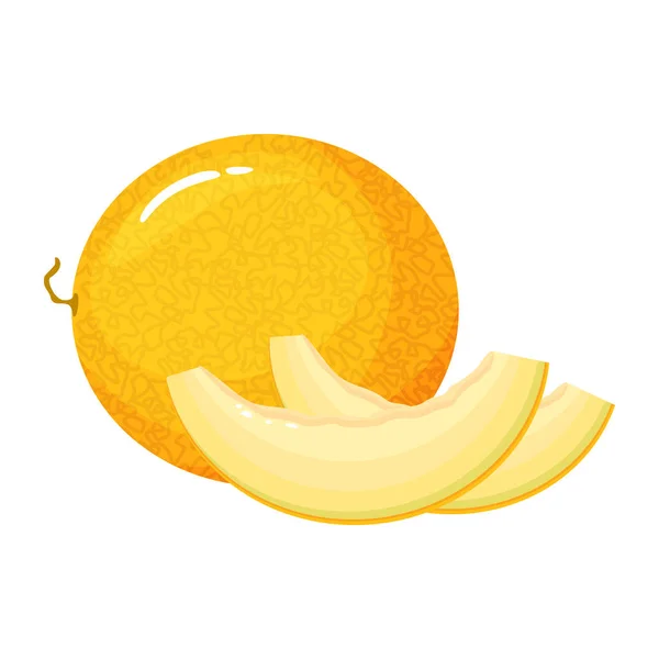 Dessin animé melon frais isolé sur fond blanc — Image vectorielle