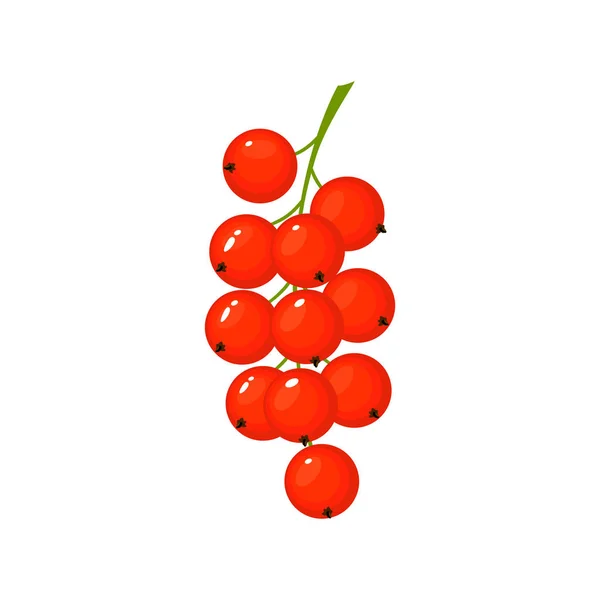 Cartoon fresh Red currant isolated on white — Stock Vector