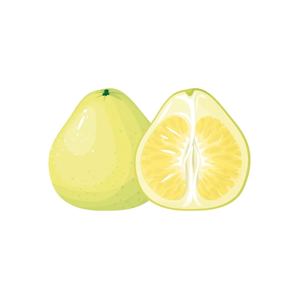 动画片新鲜的柚子查出在白色背景 — 图库矢量图片