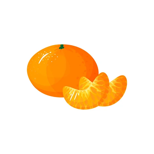 Dibujos animados mandarina fresca o fruta de naranja mandarina — Vector de stock