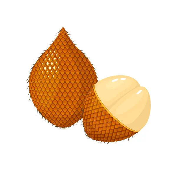 Φρέσκα φρούτα palm ita απομονωθεί σε λευκό, κινούμενα σχέδια — Διανυσματικό Αρχείο