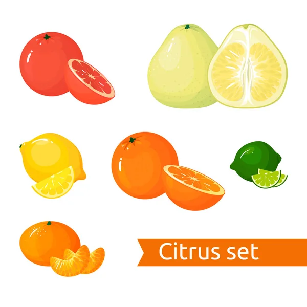 Vektor rajzfilm Citrus készlet. Ikonok elszigetelt gyümölcsök Stock Illusztrációk