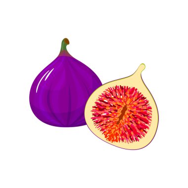 Beyaz çizgi film taze incir izole simgesine