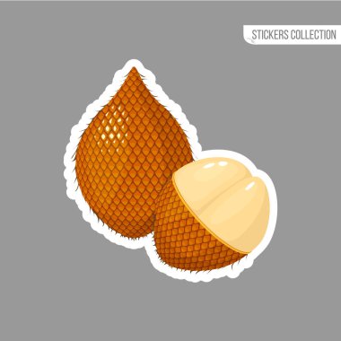 Taze ita palmiye meyve izole etiket cartoon