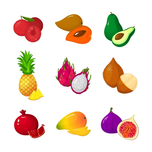 Set de frutas tropicales exóticas. Ilustración vectorial colección icono plano de dibujos animados aislados en blanco . — Vector de stock