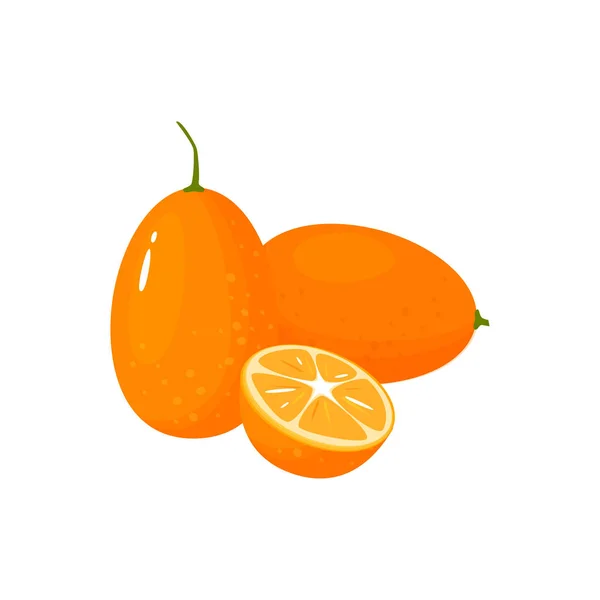 Cartone animato fresco kumquat isolato su sfondo bianco — Vettoriale Stock