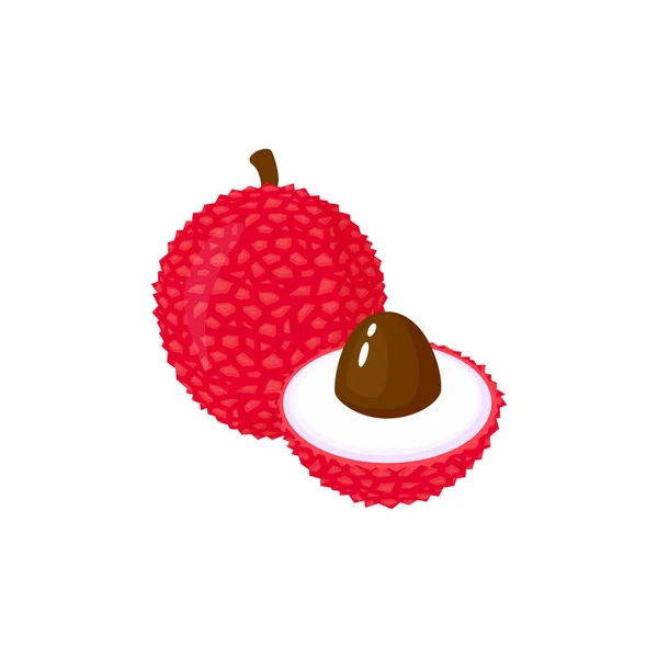 Dessin animé frais Lychee fruits isolés sur blanc — Image vectorielle