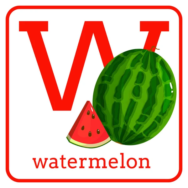Ein Alphabet mit süßen Früchten, Buchstabe w Wassermelone — Stockvektor