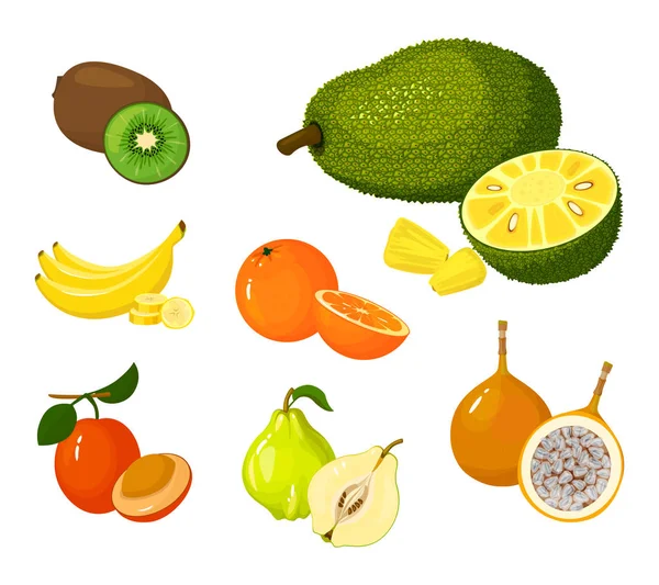 Conjunto de frutas exóticas tropicais. Ilustração vetorial desenho animado coleção de ícones plana isolada no branco . Ilustrações De Bancos De Imagens Sem Royalties