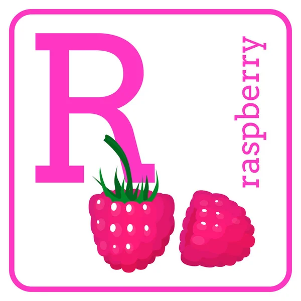 Un alfabeto con frutas lindas, Letra R frambuesa — Vector de stock