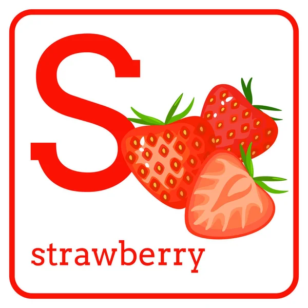 Ein Alphabet mit süßen Früchten, Buchstaben s Erdbeere — Stockvektor