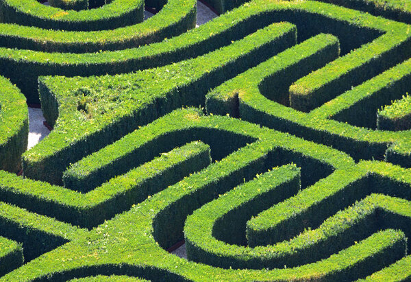 VENICE, ITALY - SEPTEMBER 22, 2017: Hedge Maze from above.