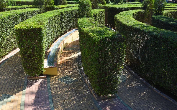 Part of Hedge Maze with Water feature