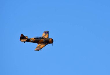Little Gransden, CAMBRIDGESHIRE, İngiltere - 25 Ağustos 2019: klasik Kuzey Amerika T-6 Harvard 4 Wacky Rabbit Aircraft in Flight.