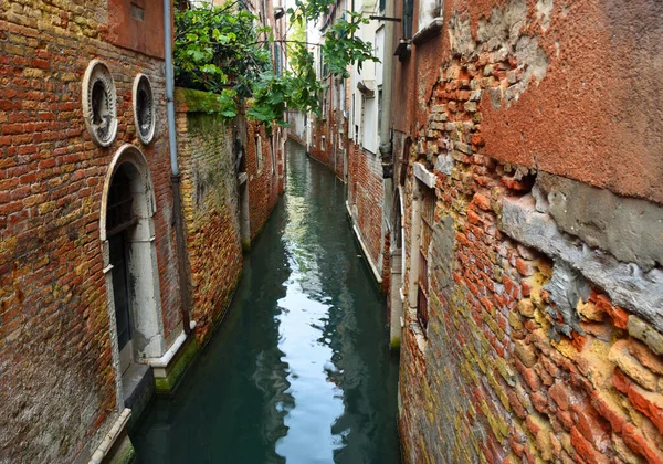 Tiny Venice Canal Rio Crumbling Walls Doors Water — Stock Photo, Image