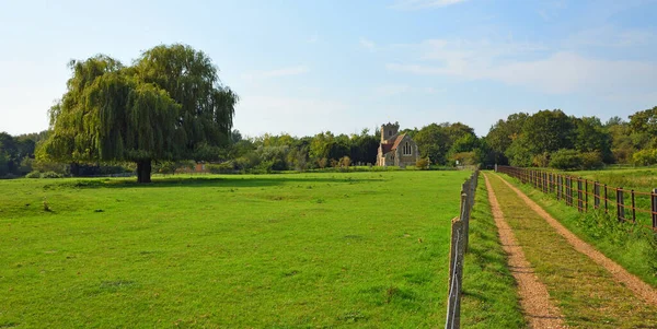 Willow Tree Country Lane Deny Kilisesi Little Barford Bedfordshire — Stok fotoğraf