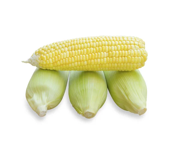 Fresh Corn Set Isolated White Background — Stock Photo, Image