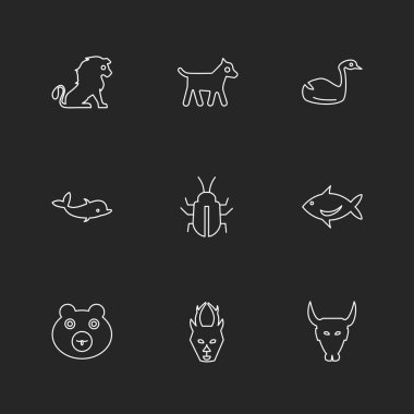 hayvanlar ve siyah arka plan ve basit düz app simgeler, vektör çizim kümesi üzerinde hata