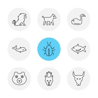 çeşitli vektör app simge kümesi         